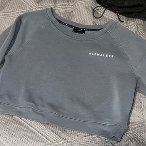 Gray Alphalete PBNS Cropped Sweatshirt